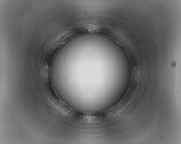 X0000089390650200706221319