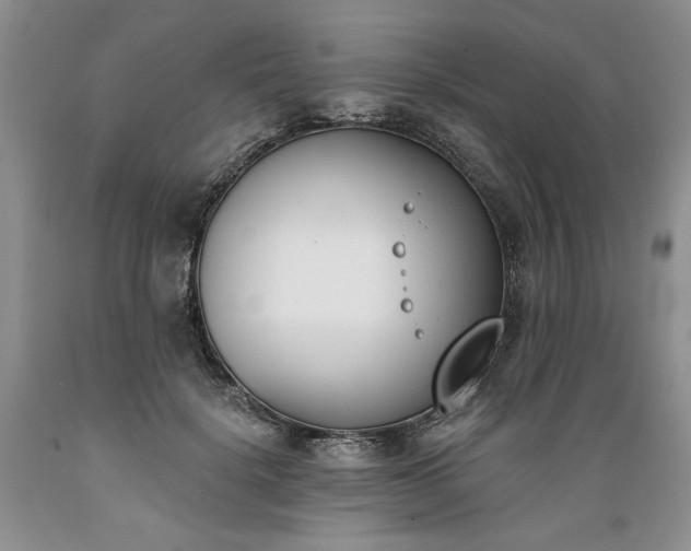 X0000089390652200706221319