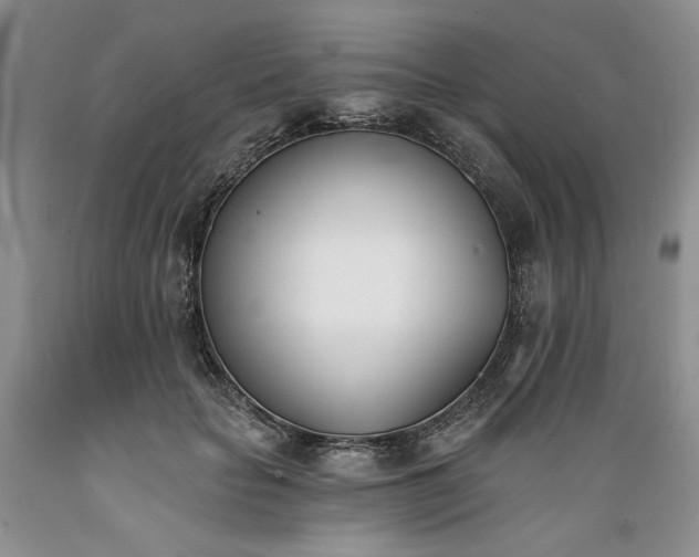 X0000089390653200706221319
