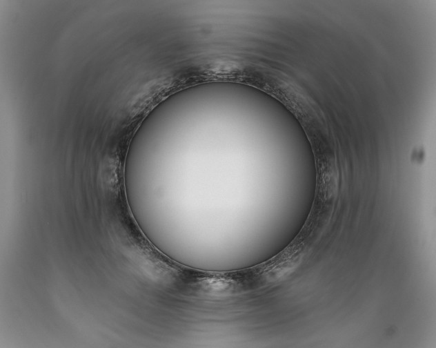 X0000089390654200706221319