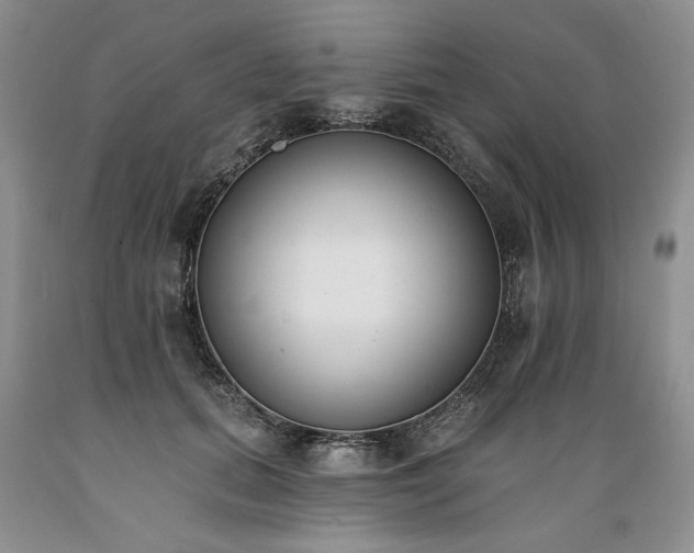 X0000089390655200706221319