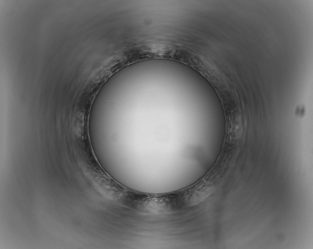 X0000089390656200706221319