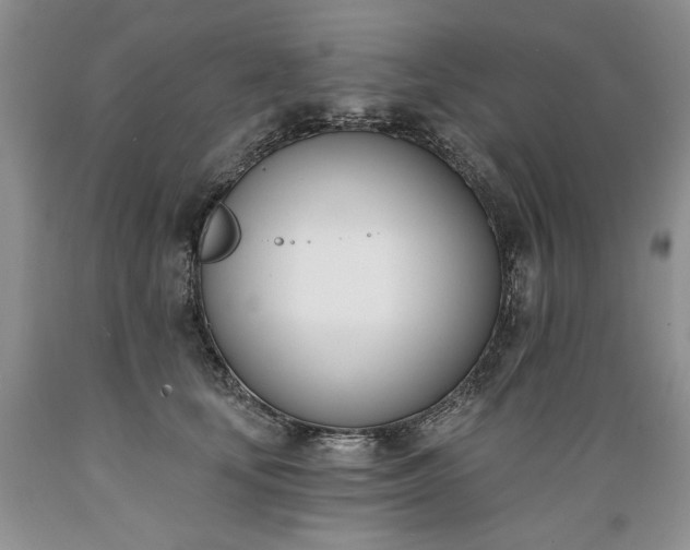 X0000089390659200706221319