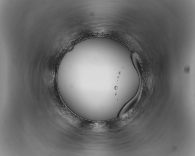 X0000089390660200706221319