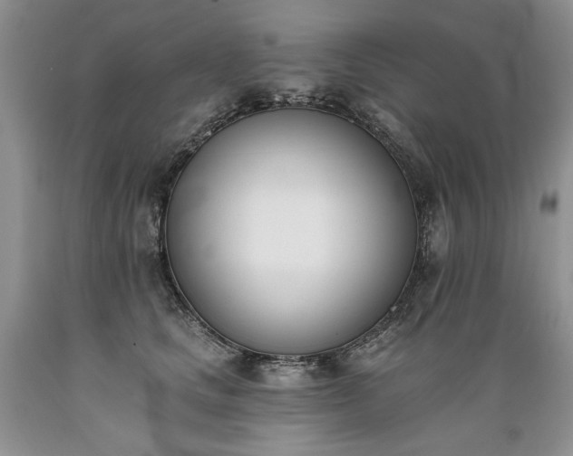X0000089390661200706221319
