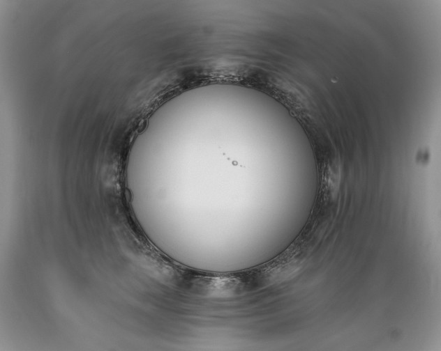 X0000089390663200706221319