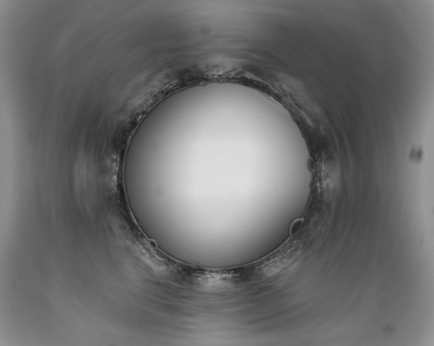X0000089390664200706221319