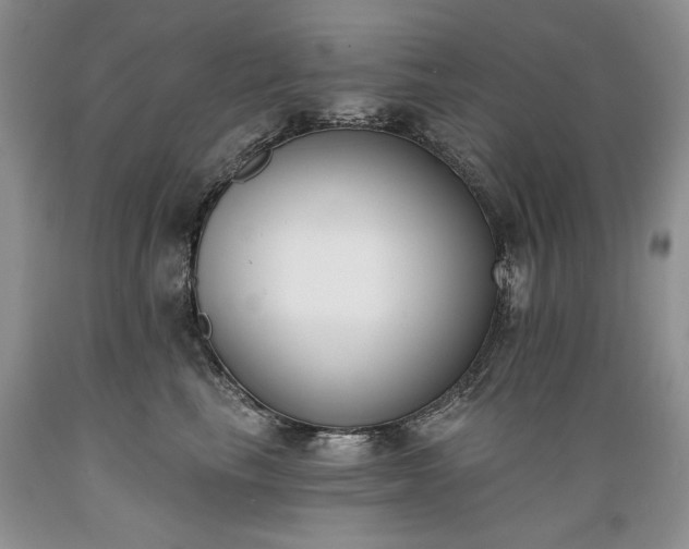X0000089390665200706221319