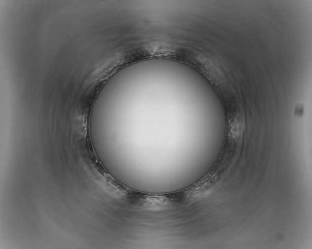 X0000089390666200706221319