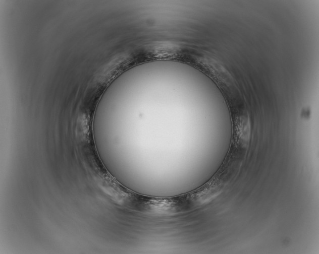 X0000089390667200706221319