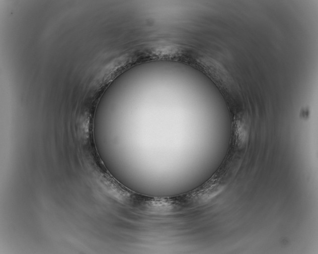 X0000089390668200706221319