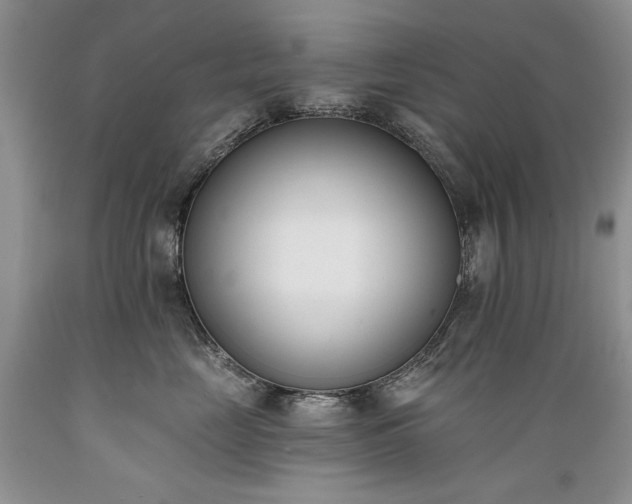 X0000089390669200706221319