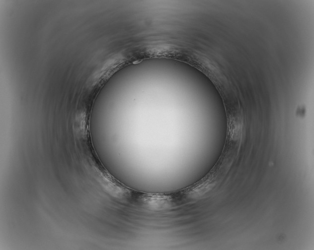 X0000089390670200706221319