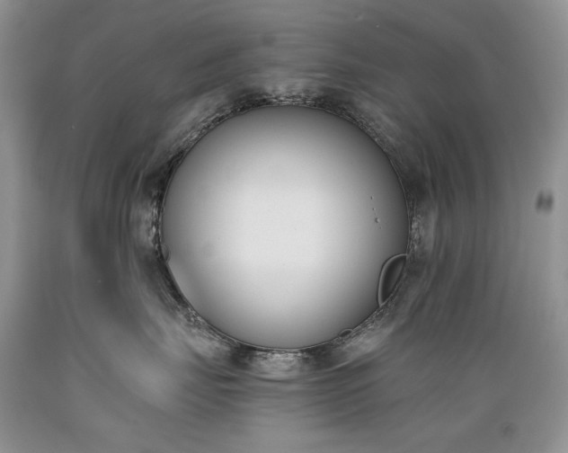 X0000089390671200706221319