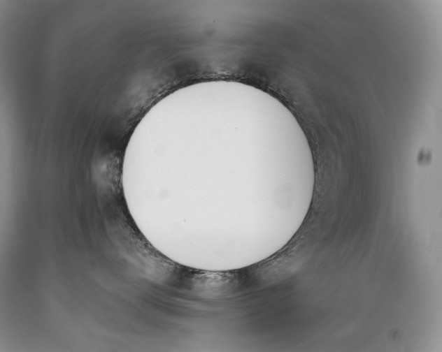 X0000089390672200706221319