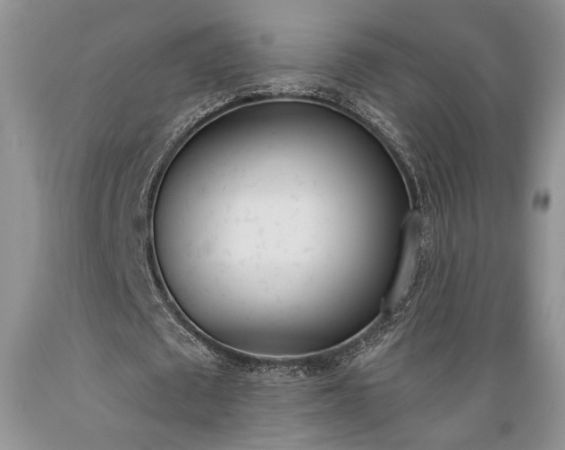 X0000089390673200706221318