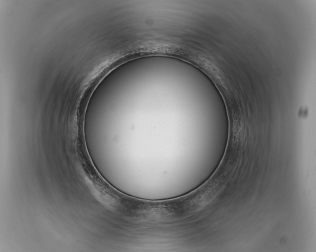 X0000089390674200706221318