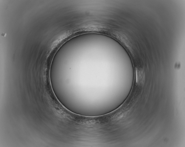 X0000089390675200706221318