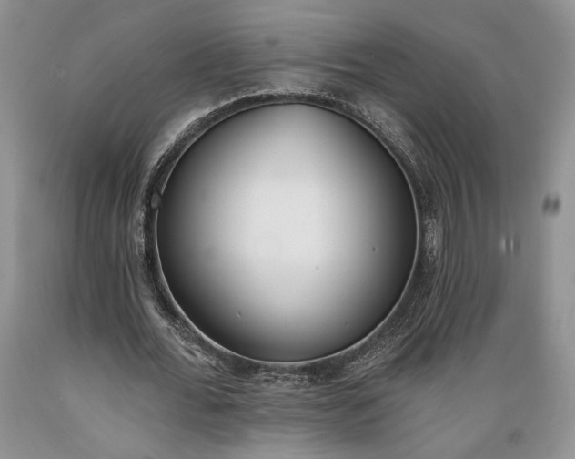 X0000089390676200706221318