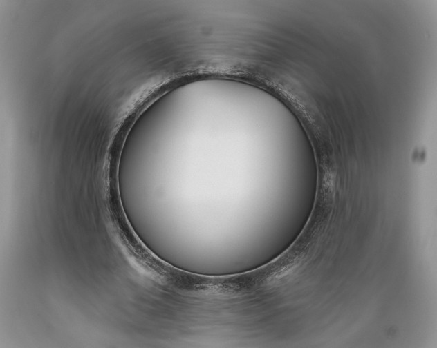 X0000089390678200706221318