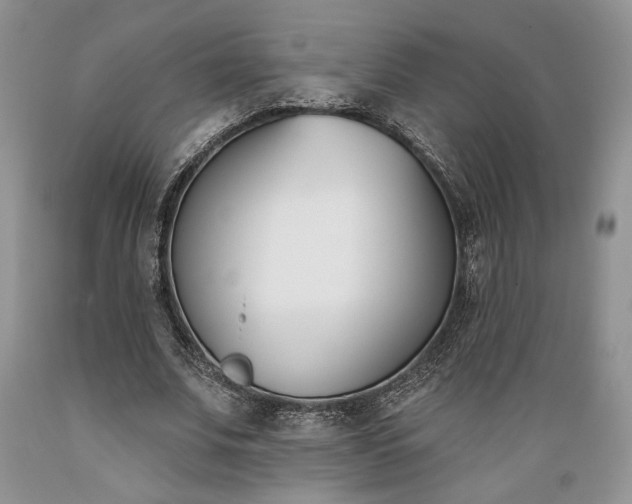 X0000089390679200706221318