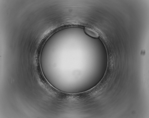 X0000089390680200706221318