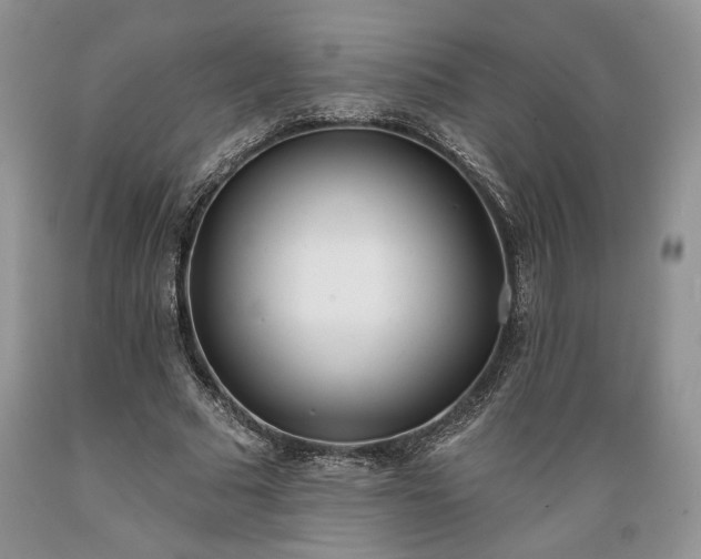 X0000089390681200706221318