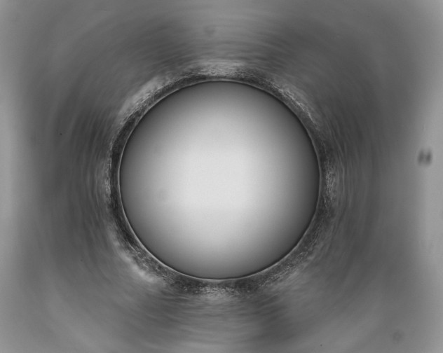 X0000089390682200706221318