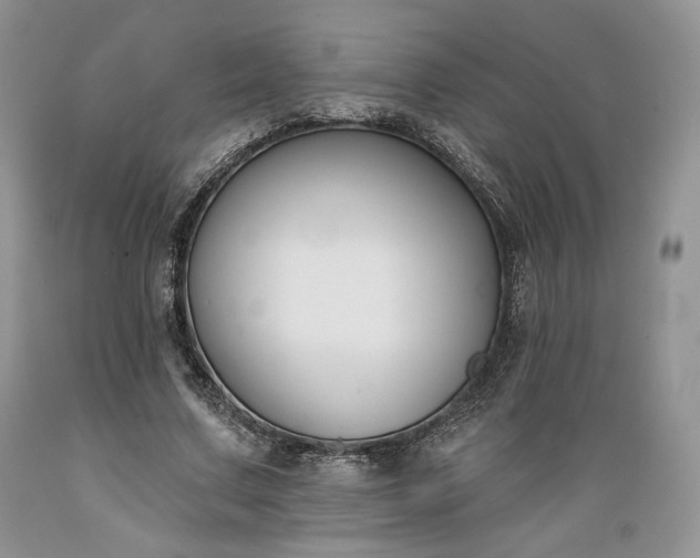 X0000089390683200706221318