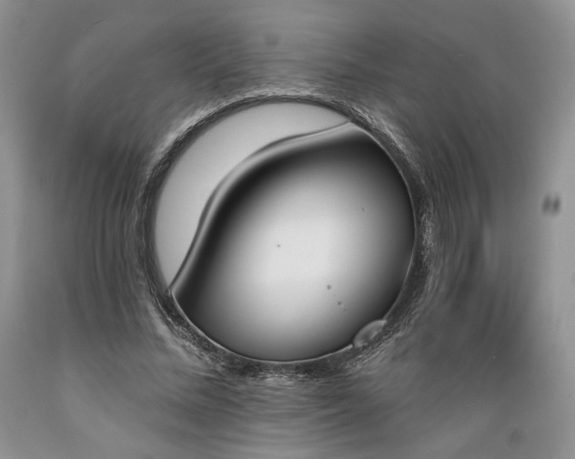 X0000089390684200706221318