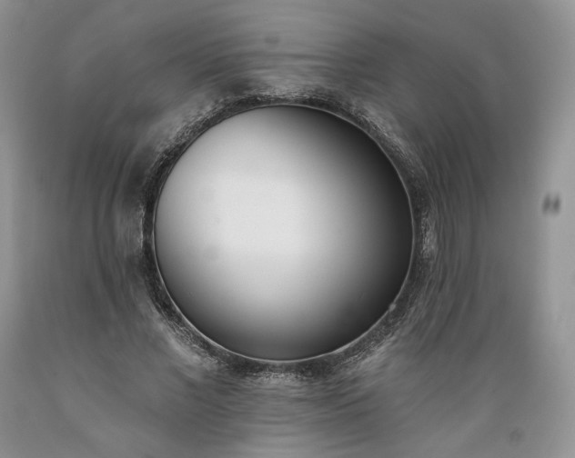 X0000089390685200706221318