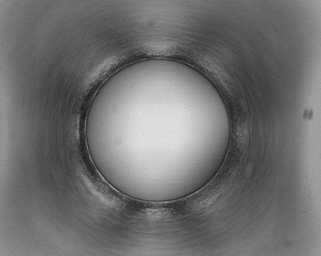 X0000089390686200706221318
