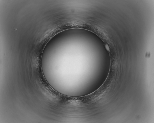 X0000089390689200706221318