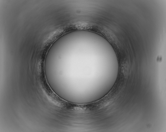 X0000089390690200706221318