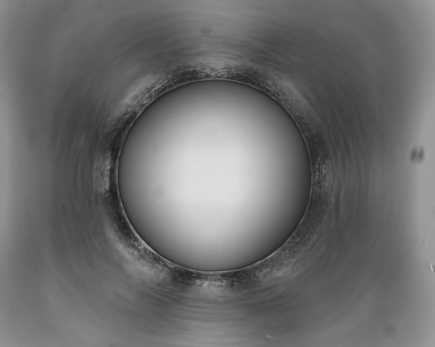 X0000089390694200706221318