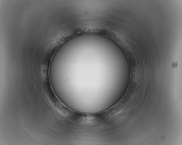 X0000089390695200706221318