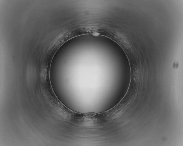 X0000089390697200706221318
