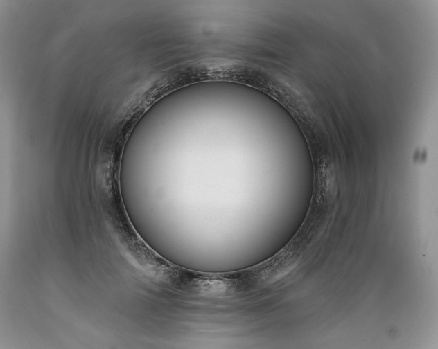 X0000089390698200706221318