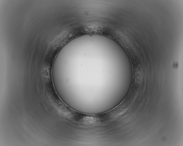 X0000089390699200706221318