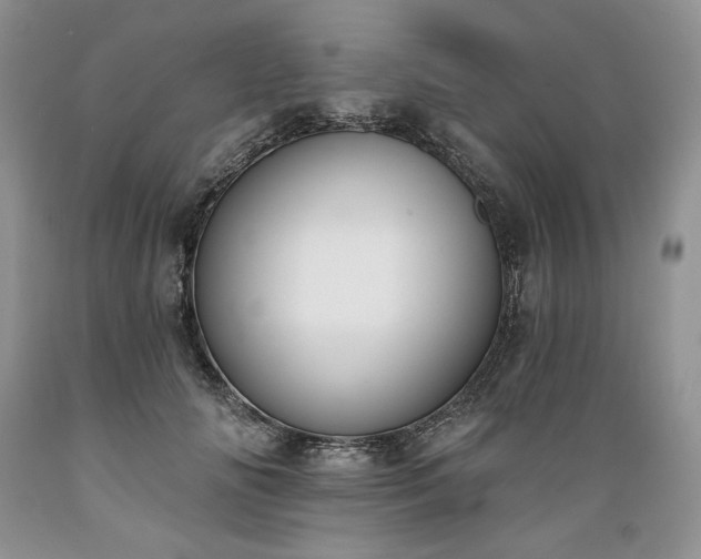 X0000089390702200706221318