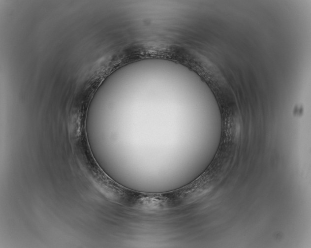 X0000089390703200706221318
