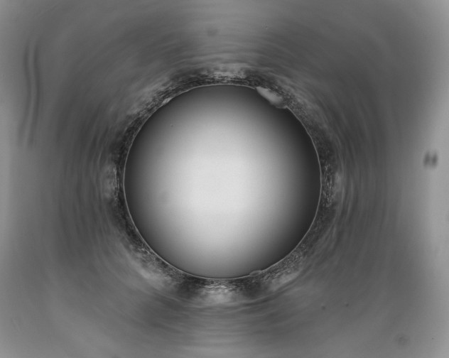 X0000089390704200706221318