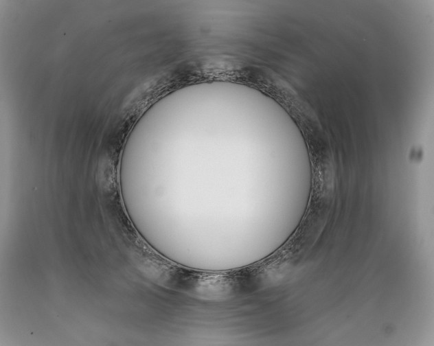 X0000089390705200706221318