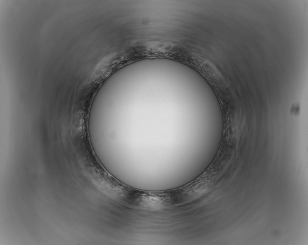 X0000089390706200706221318