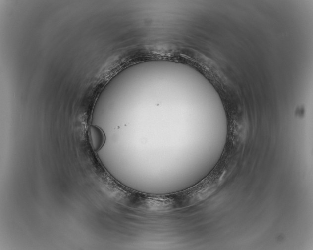 X0000089390707200706221318