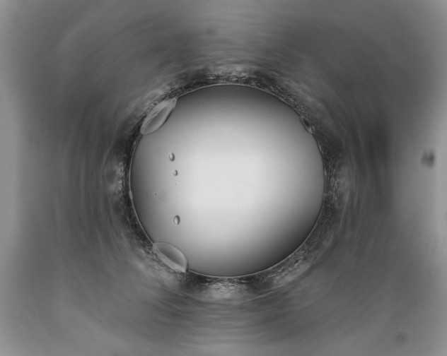 X0000089390708200706221318