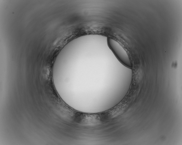X0000089390709200706221318