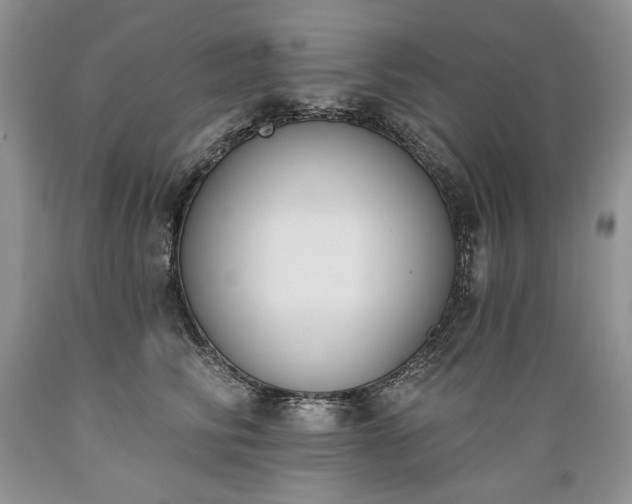 X0000089390710200706221318
