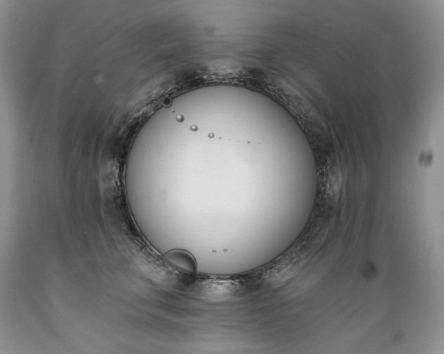 X0000089390711200706221318