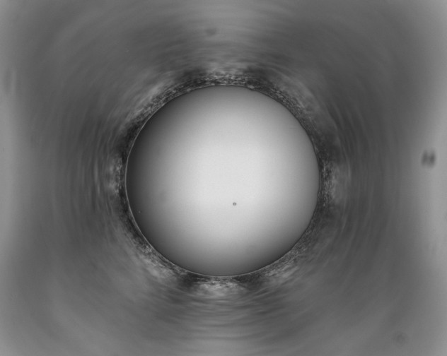 X0000089390712200706221318
